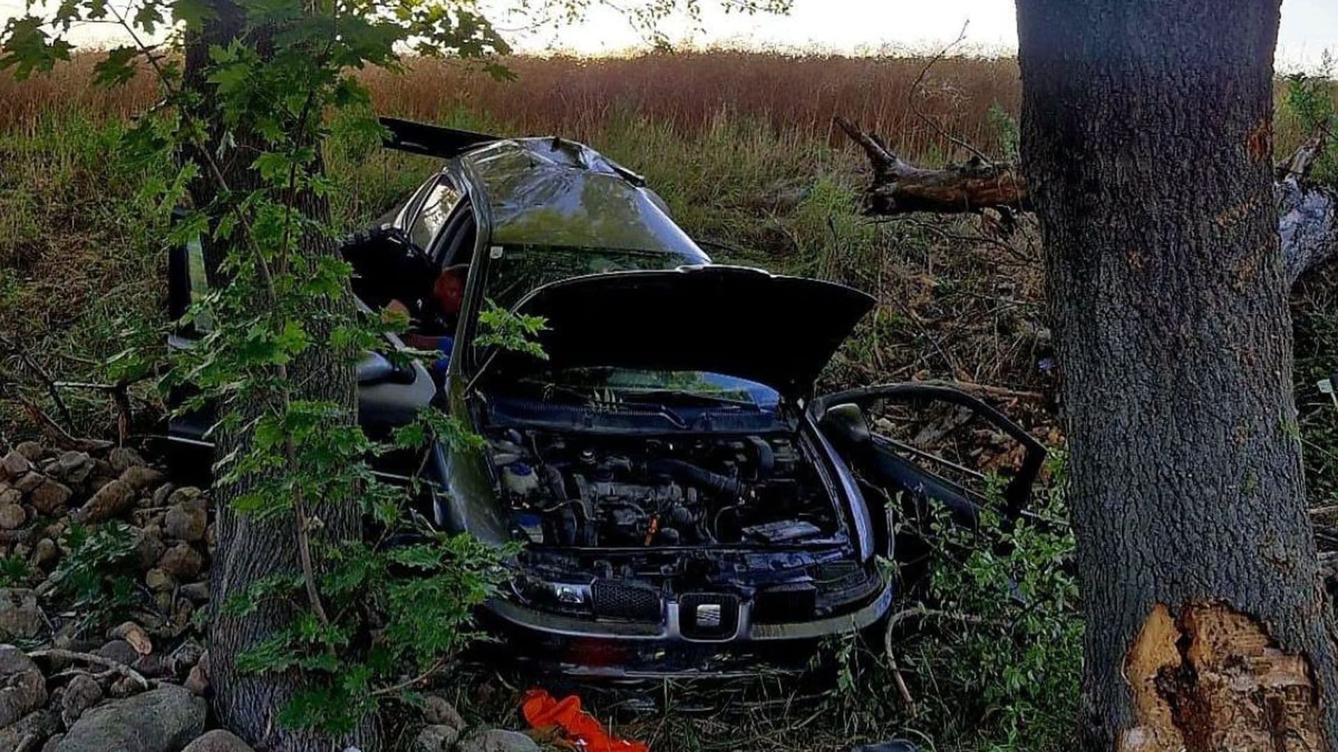 Poważny wypadek na Dolnym Śląsku. 22-latek uderzył w drzewo. Lądował śmigłowiec LPR