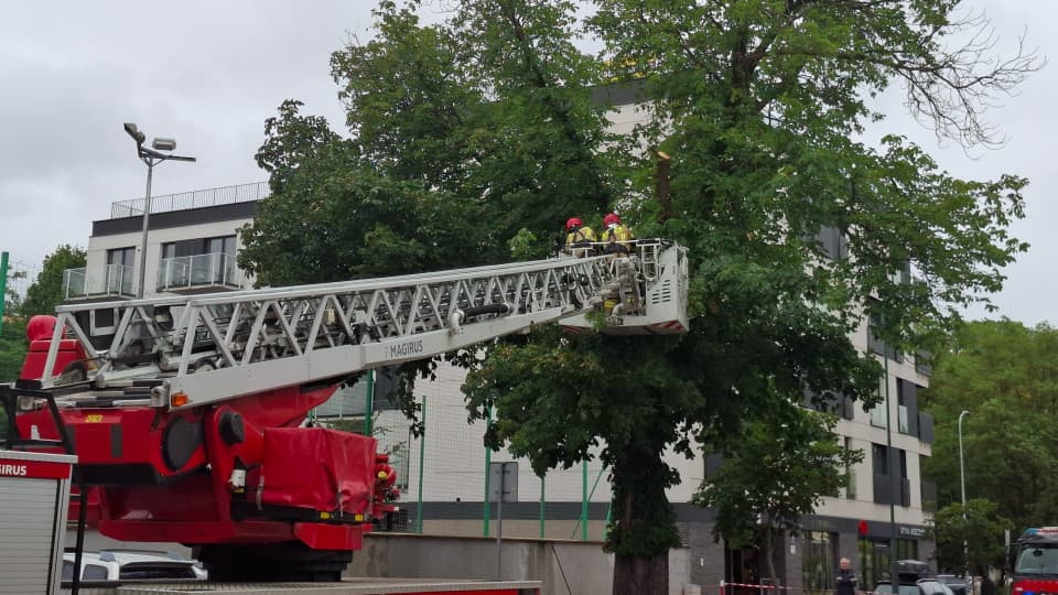 Silny wiatr nad Kołobrzegiem. Władze miasta apelują o zachowanie ostrożności