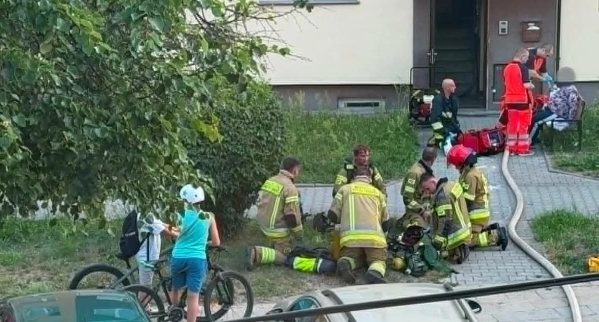 Pożar mieszkania w Skarżysku-Kamiennej. Ewakuacja mieszkańców, dwa psy nie przeżyły