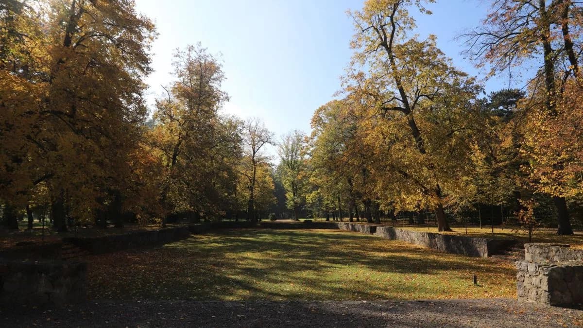 Drapieżniki w miastach woj. łódzkiego. To zagrożenie dla zwierząt domowych