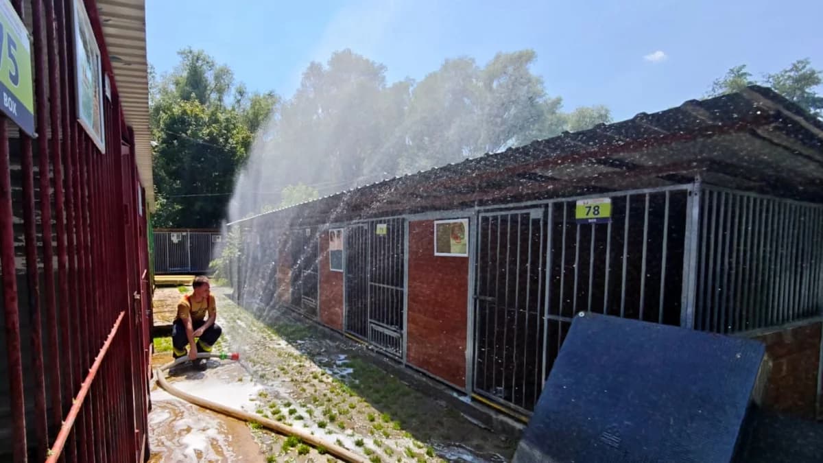 Akcja strażaków w płockim schronisku
