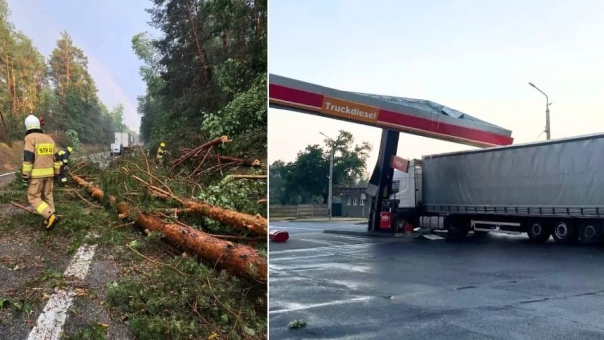 Połamane drzewa i słupy, strażacy w akcji. Burza dotarła do regionu