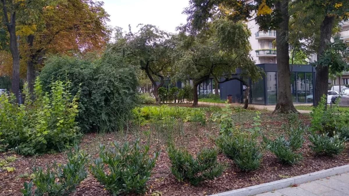 W łódzkich parkach i na placach zabaw usłyszysz nietypowe komunikaty. Jest ważny powód