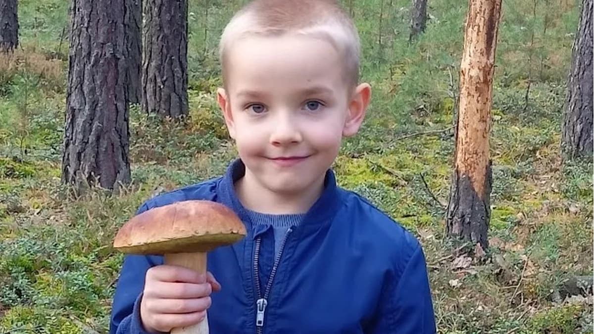 Gdzie na grzyby w woj. łódzkim? Grzybiarze pokazują pełne kosze
