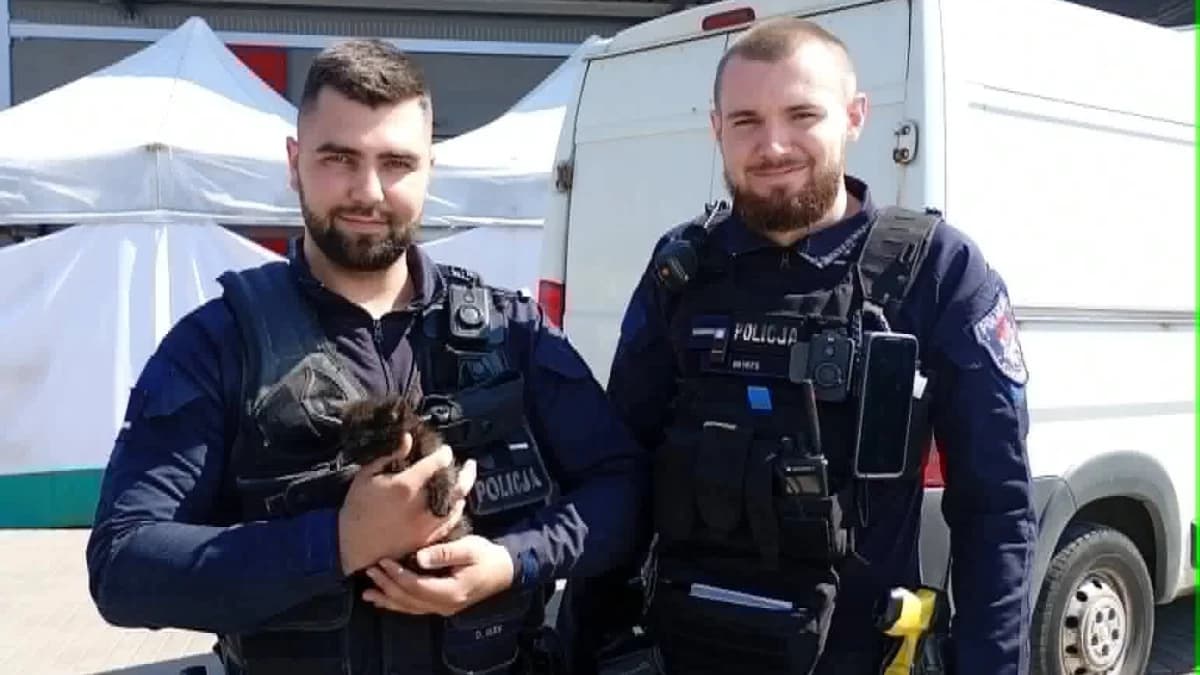 Akcja policji na Rynku Bałuckim. Wszystko przez... kota!