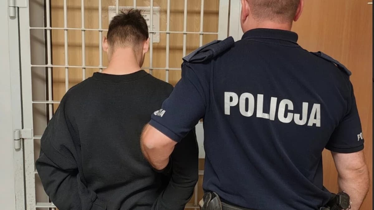 Sceny jak z GTA pod Zgierzem. Pijany 31-latek taranował bramy i kradł samochody