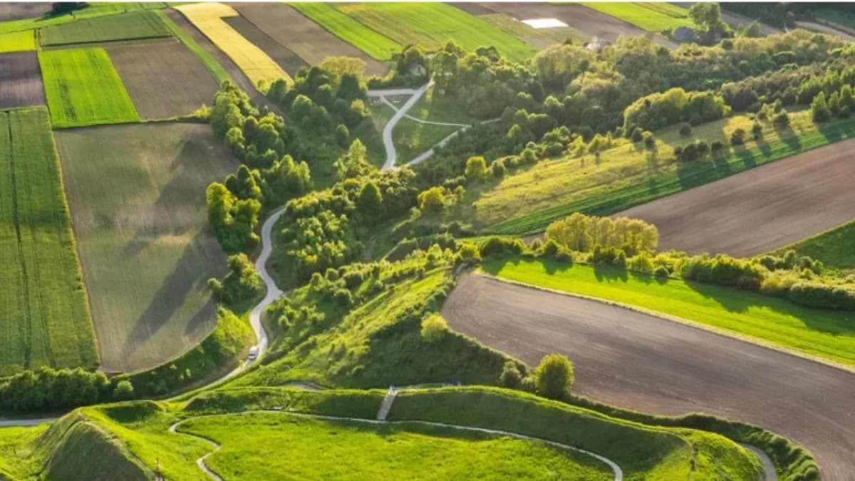 Kilkadziesiąt kilometrów od Mielca. Tu znajduje się jeden z Cudów Polski