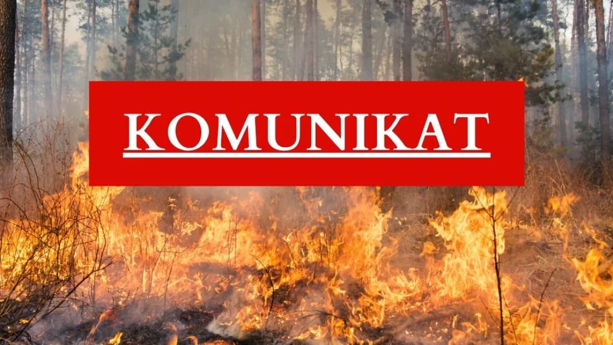 Krytyczny komunikat nadleśnictwa i apel do mieszkańców