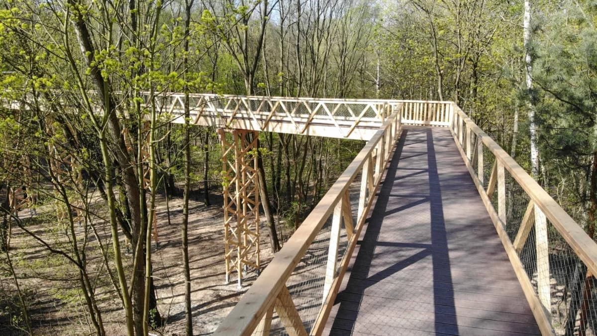 Grzyby niszczą popularną poznańską atrakcjęWiadomości Miasto będzie domagało się zwrotu pieniędzy