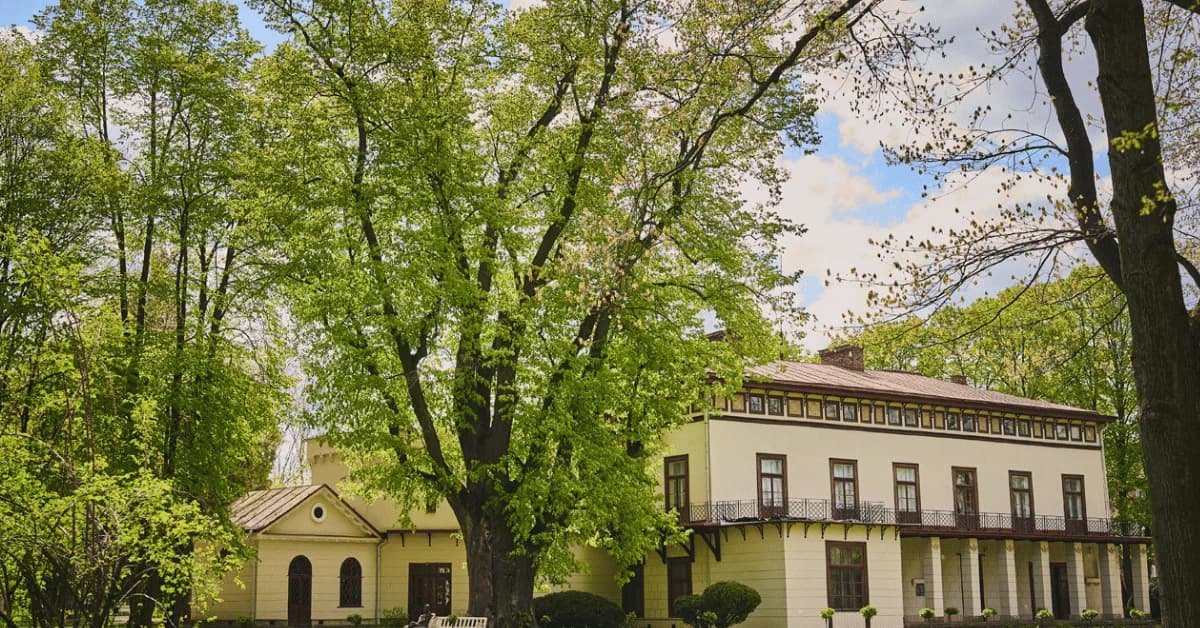 Podkarpacie ma nowe Drzewo Roku! Lipa Sobieskiego wygrała prestiżowy plebiscyt