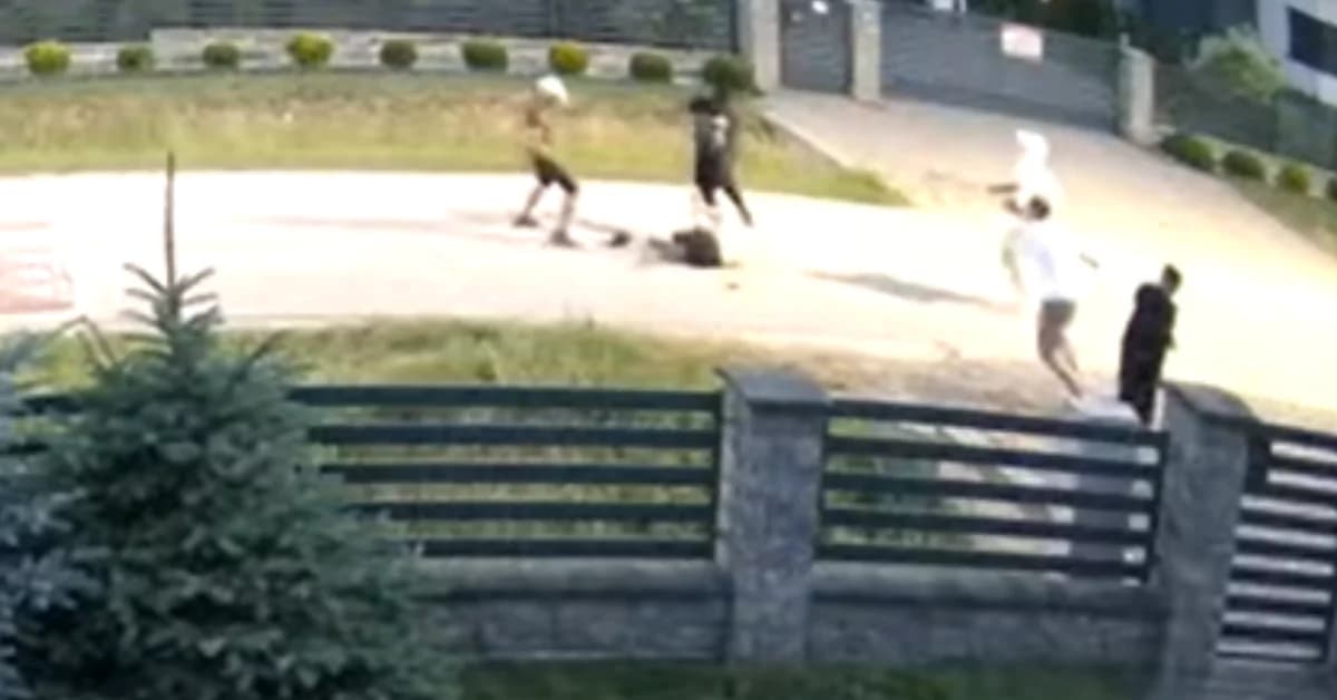 Zarzuty po brutalnym pobiciu obcokrajowców w Mielcu. Decyzja prokuratury