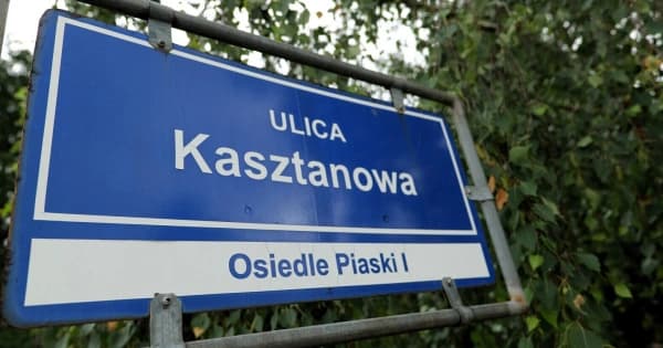 Pięć firm chce zamontować nowe oświetlenie przy ul. Kasztanowej