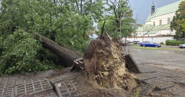 Grad, połamane drzewa i zerwany dach