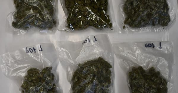 Do 10 lat więzienia za blisko 2 kg narkotyków. 39-latek z Niska aresztowany