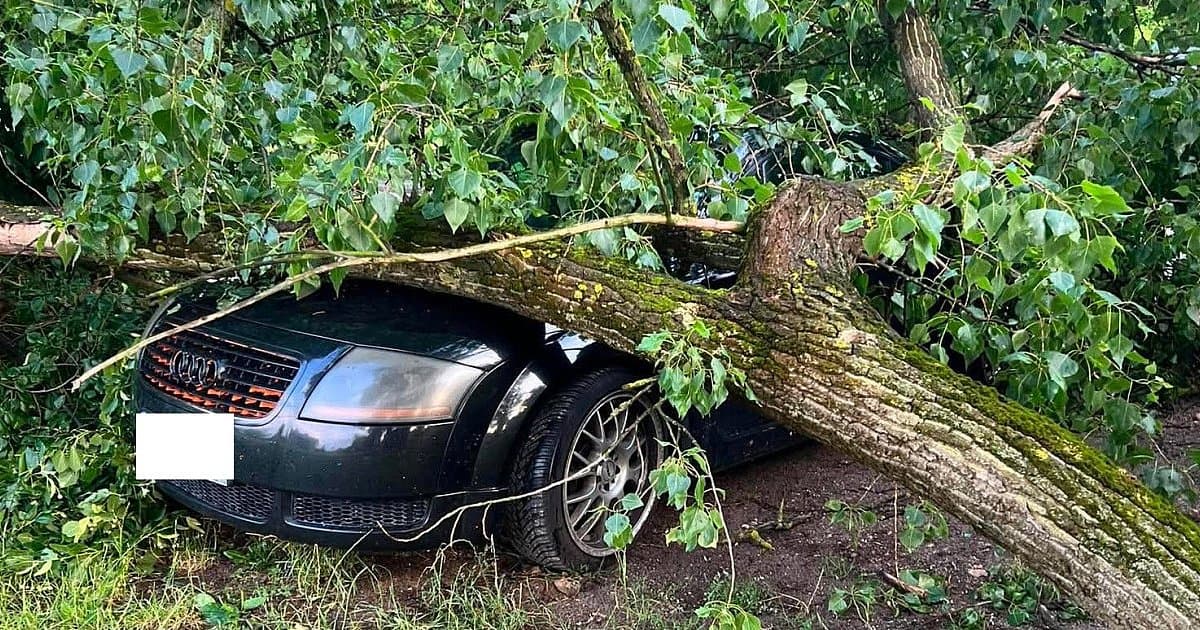Drzewo spadło na auto na Browarach w Końskich