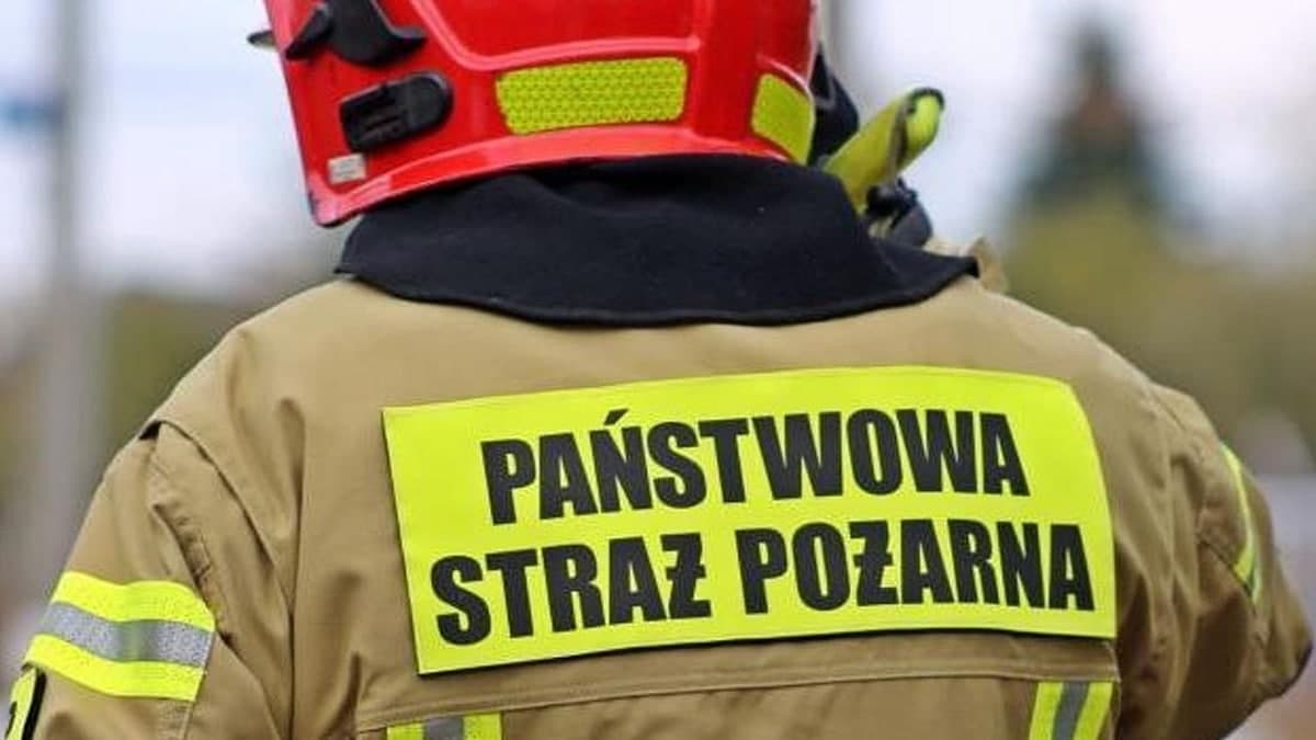Wyciek gazu na fermie drobiu. Akcja strażaków podczas rekordowych upałów