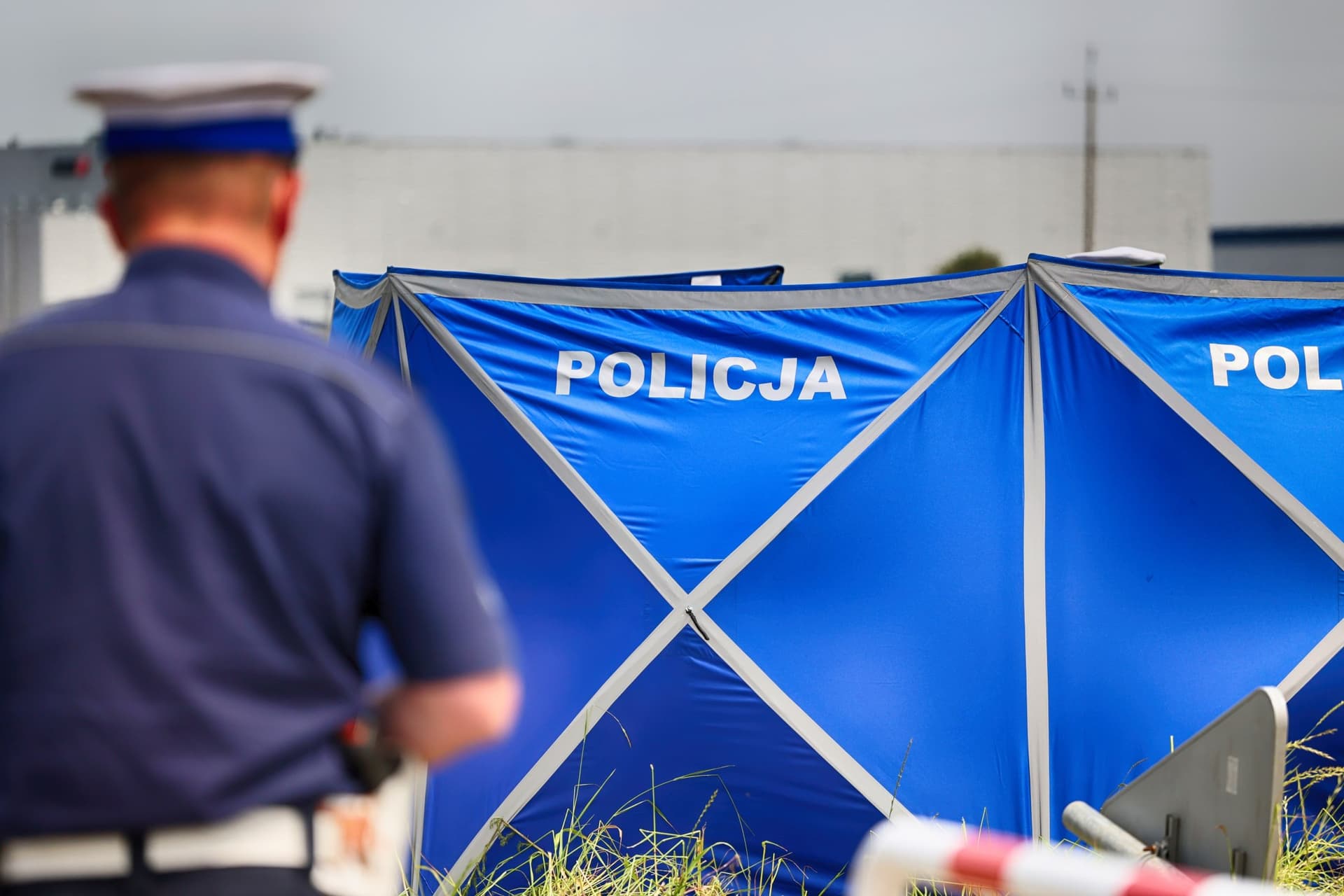 Kłoda spadła na 33-latka podczas wycinki pod Warszawą. Mężczyzna nie przeżył