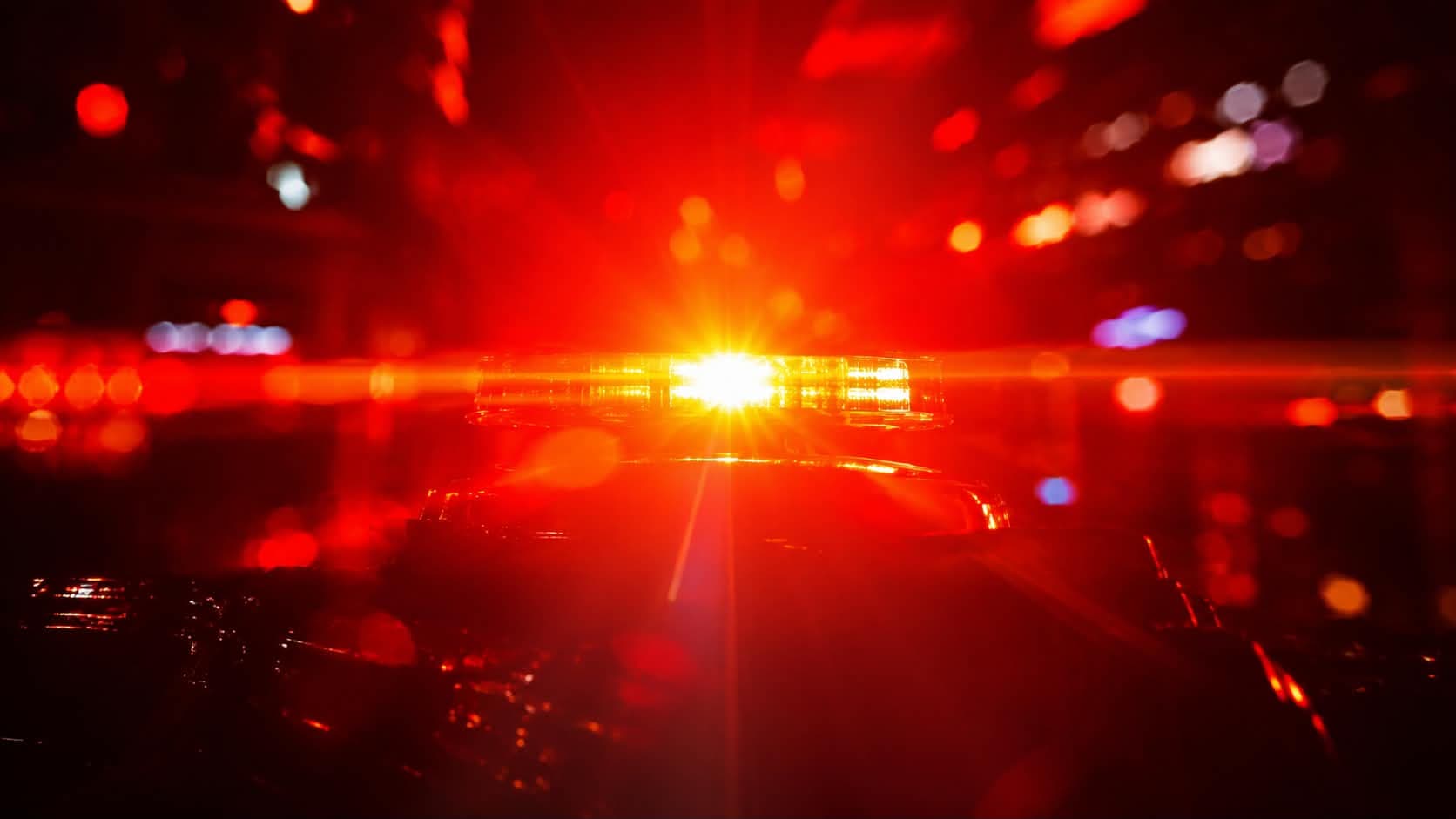 Ośmiolatka pogryziona przez psy w poważnym stanie. Ojciec próbował osłonić ją własnym ciałem