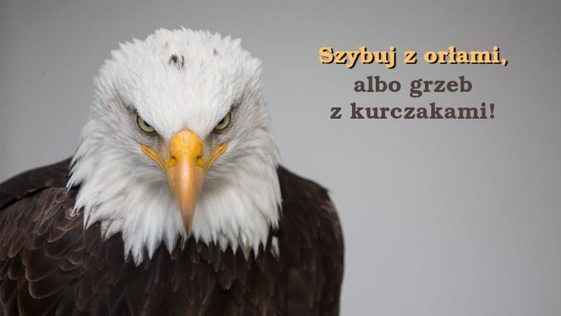 Praca dla Przedstawiciela Handlowego (KAM-łódzkie)