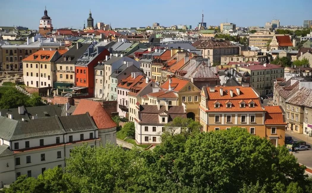 Barszcz Sosnowskiego w Lublinie. Jedno zgłoszenie może zatrzymać jego rozprzestrzenianie