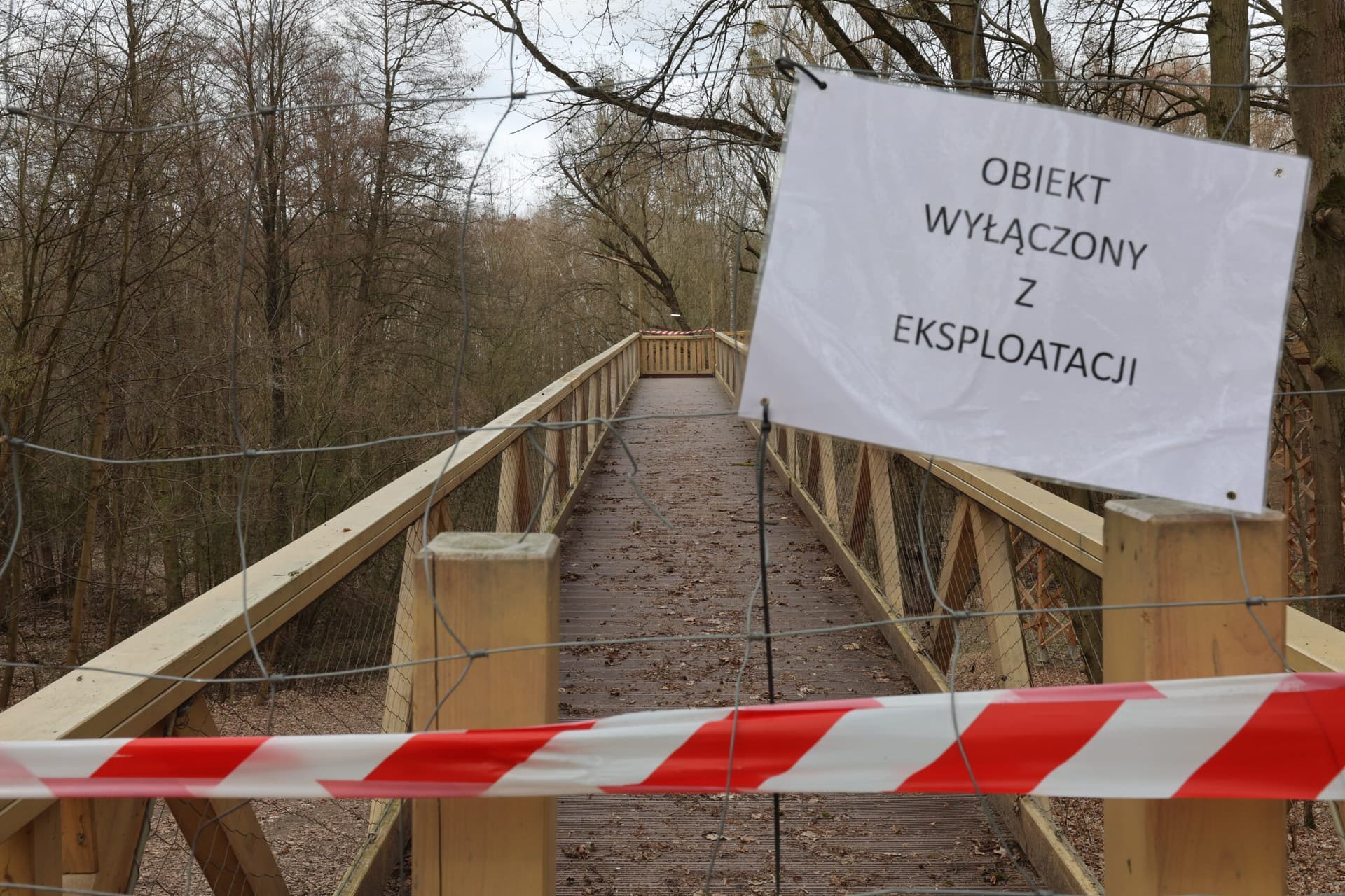Ścieżka w koronach drzew pozostanie zamknięta. Ekspertyza nie pozostawia wątpliwości