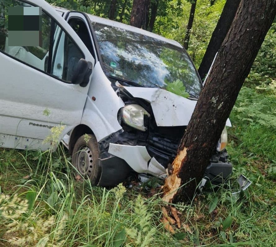 OstrołękaChwila nieuwagi mogła zakończyć się tragedią. Dostawcze renault uderzyło w drzewo 1