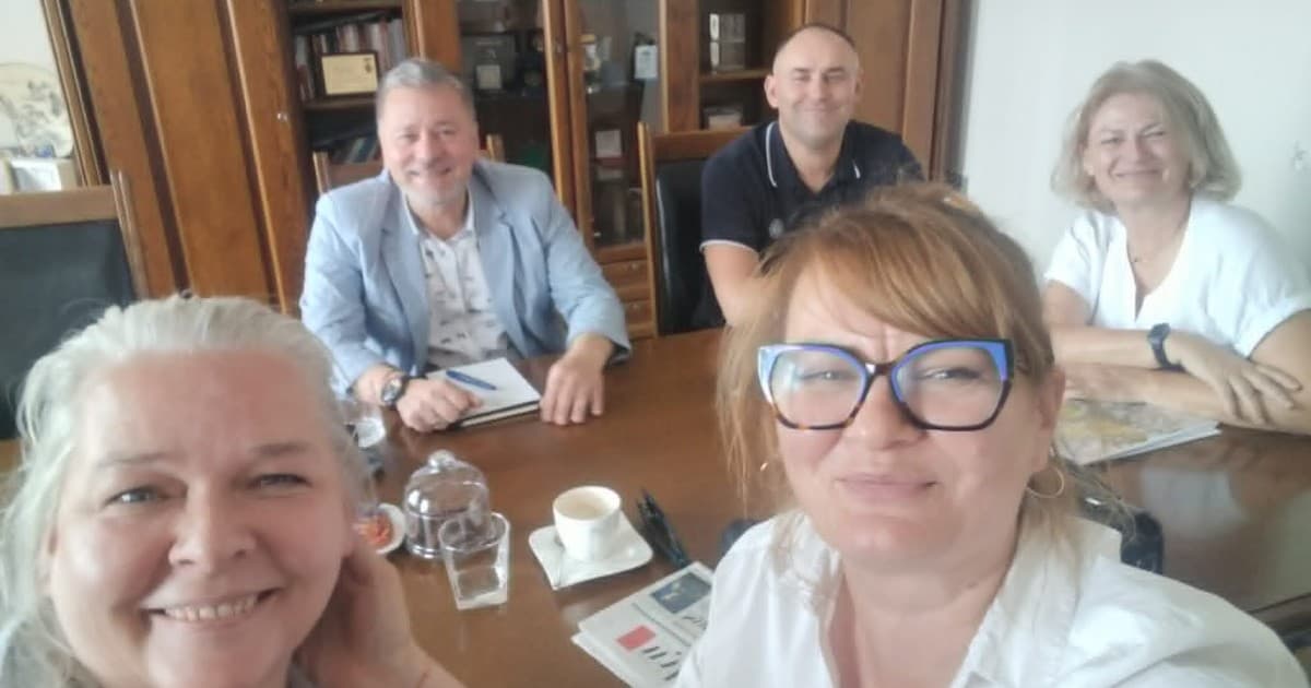 Petycja ws. drzew odrzucona, ale temat nie znika. Będzie konferencja o zieleni