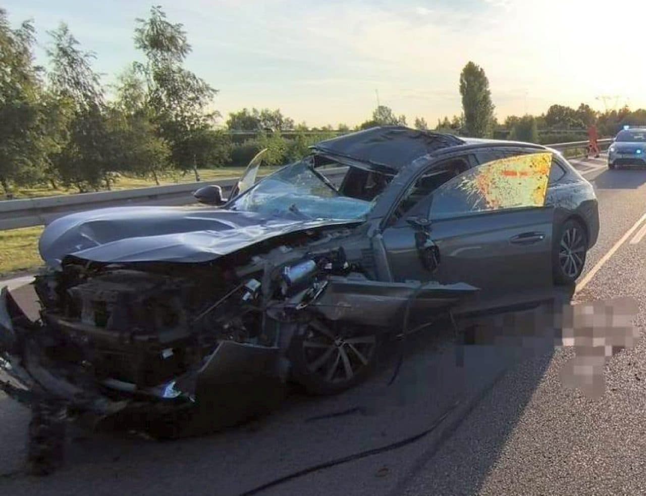 Myśliwi apelują do kierowców: Zdejmij nogę z gazu. Chwila nieuwagi może skończyć się tragedią