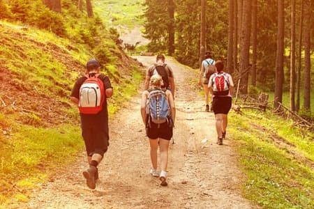 Bezpieczne wakacje w lesie. O czym musisz pamiętać?
