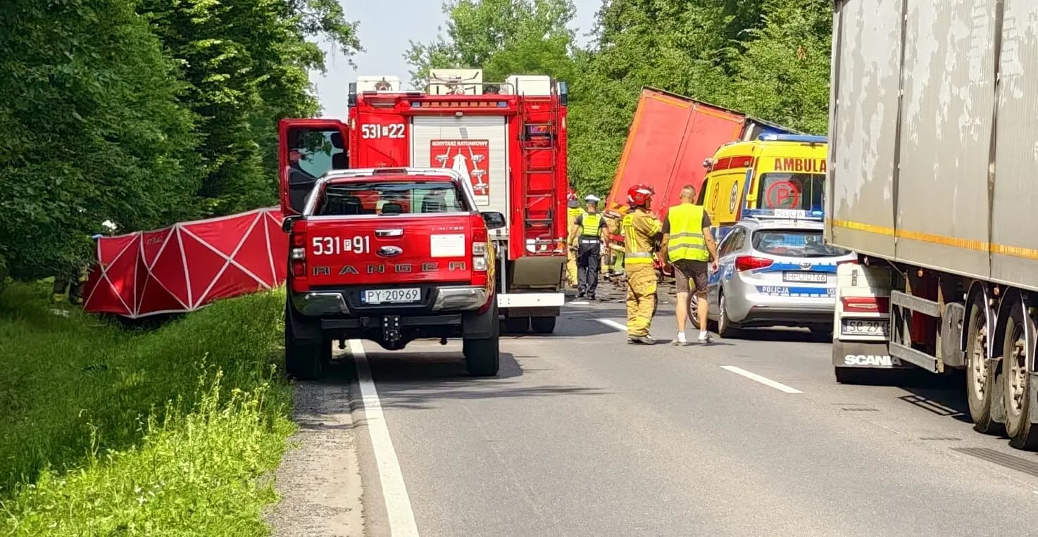Nie żyje kierowca BMW. Wypadek na DK11 k. Szczur (ZDJĘCIA)