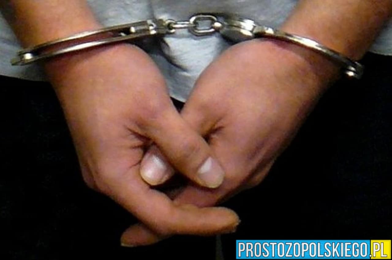 Wrócił z Niemiec i wpadł w ręce policji. Najbliższy rok spędzi w więzieniu