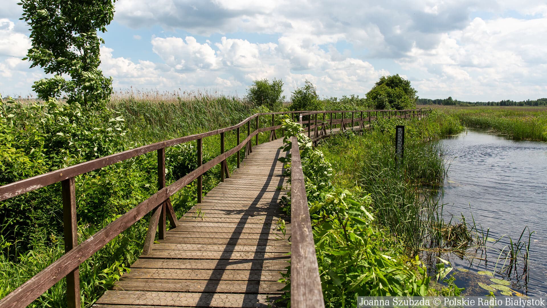 REGION Jubileusz "polskiej Amazonii". Narwiański Park Narodowy świętuje 30-lecie istnienia