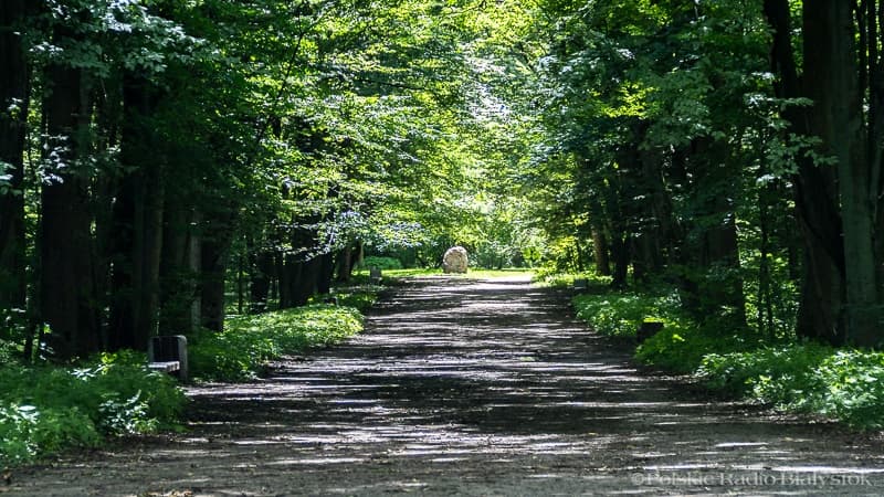 KULTURA "Zielono mi". Festiwal naturokultury w Białymstoku i Tykocinie z Polskim Radiem Białystok