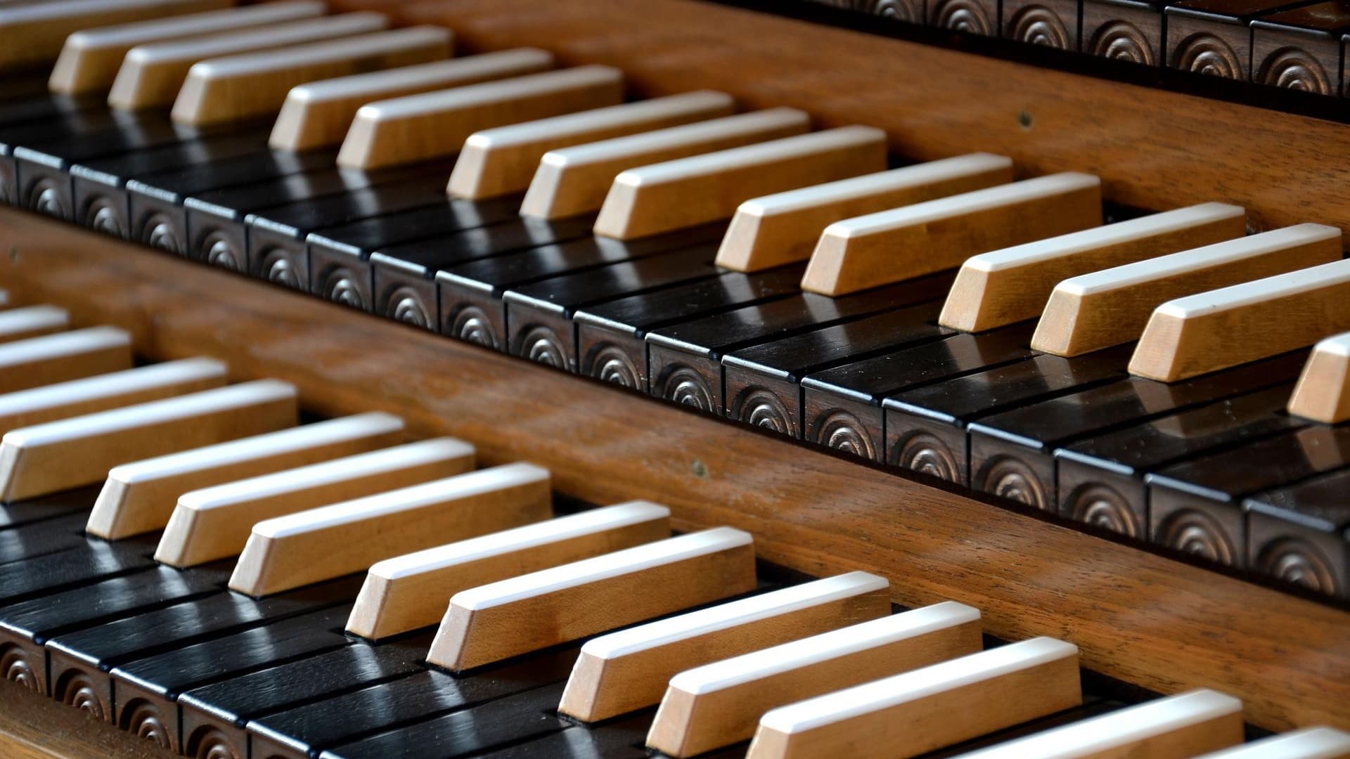 KULTURA Muzyczne lato w archikatedrze. Ruszają Katedralne Koncerty Organowe