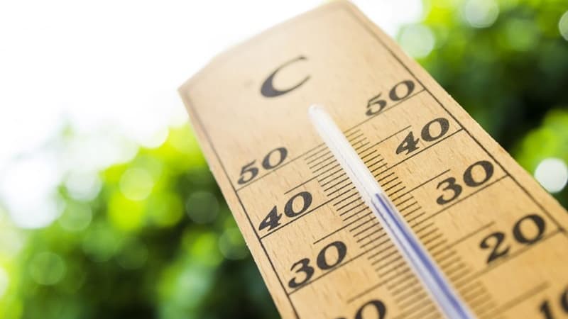POGODA Zbliża się fala upałów. Synoptycy i strażacy ostrzegają