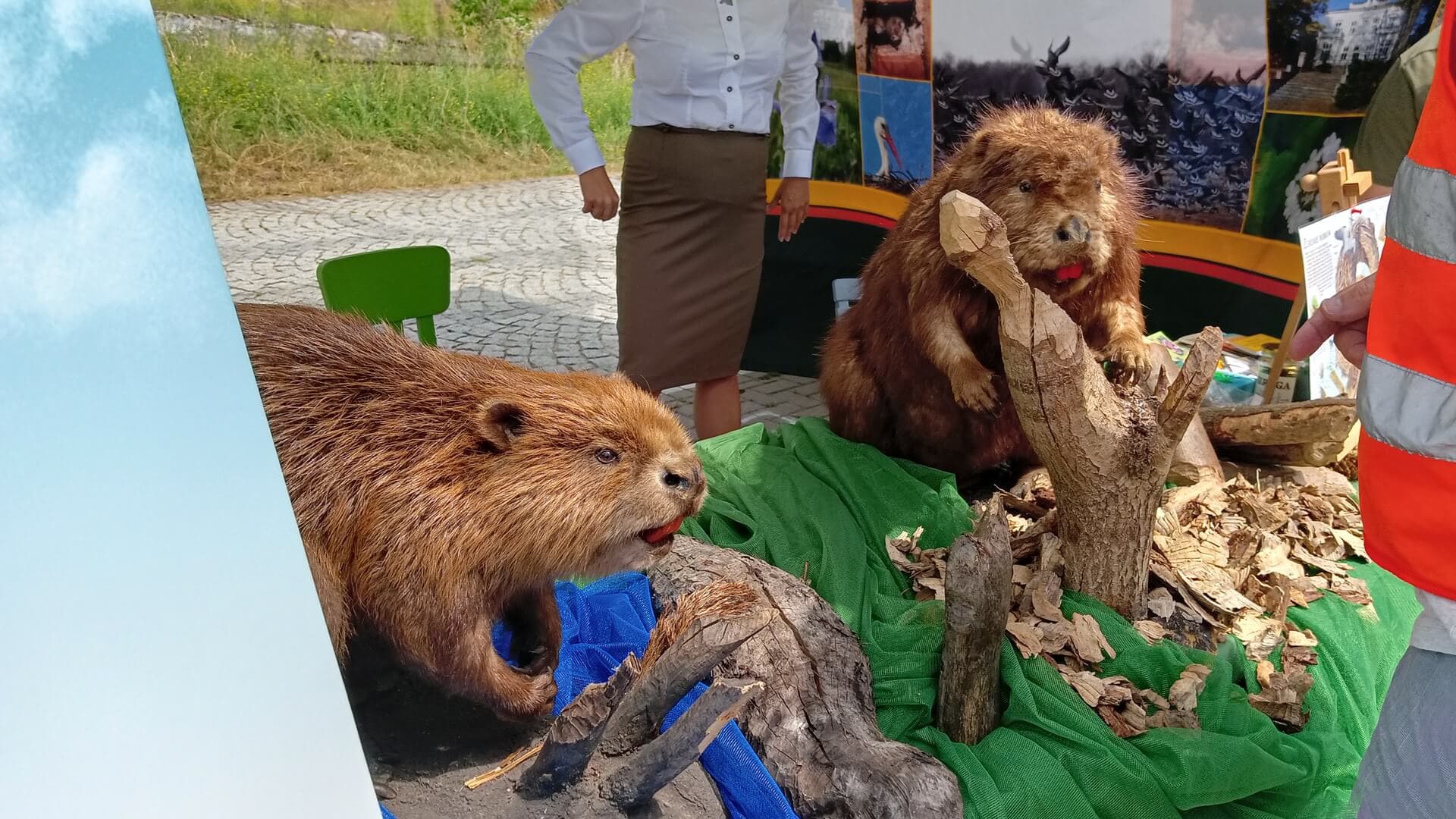 REGION Jarmarki, targi, pokazy lotnicze i koncerty - weekend pełen atrakcji w Podlaskiem