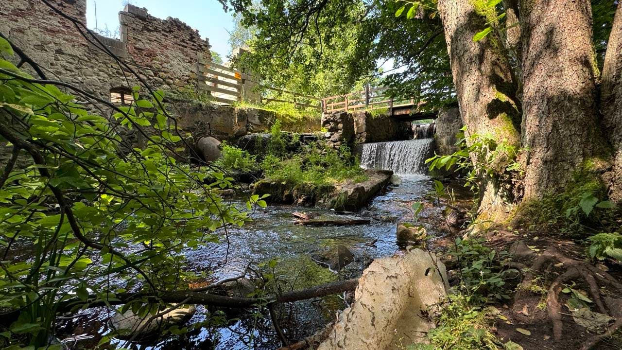 REGION VI Piknik Podlaskich Parków w Suwałkach. Święto przyrody i 50-lecie Suwalskiego Parku Krajobrazowego