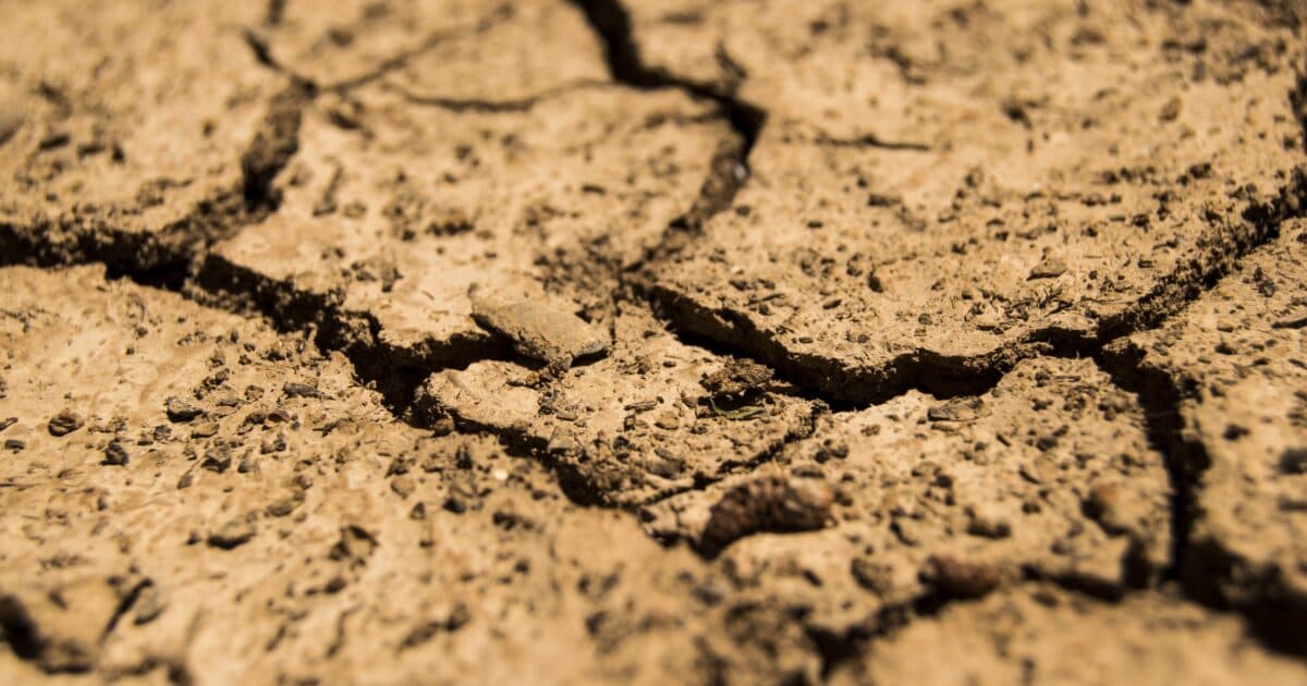 Wielka susza może wrócić? Hydrolog ostrzega, a pierwszy apel już jest