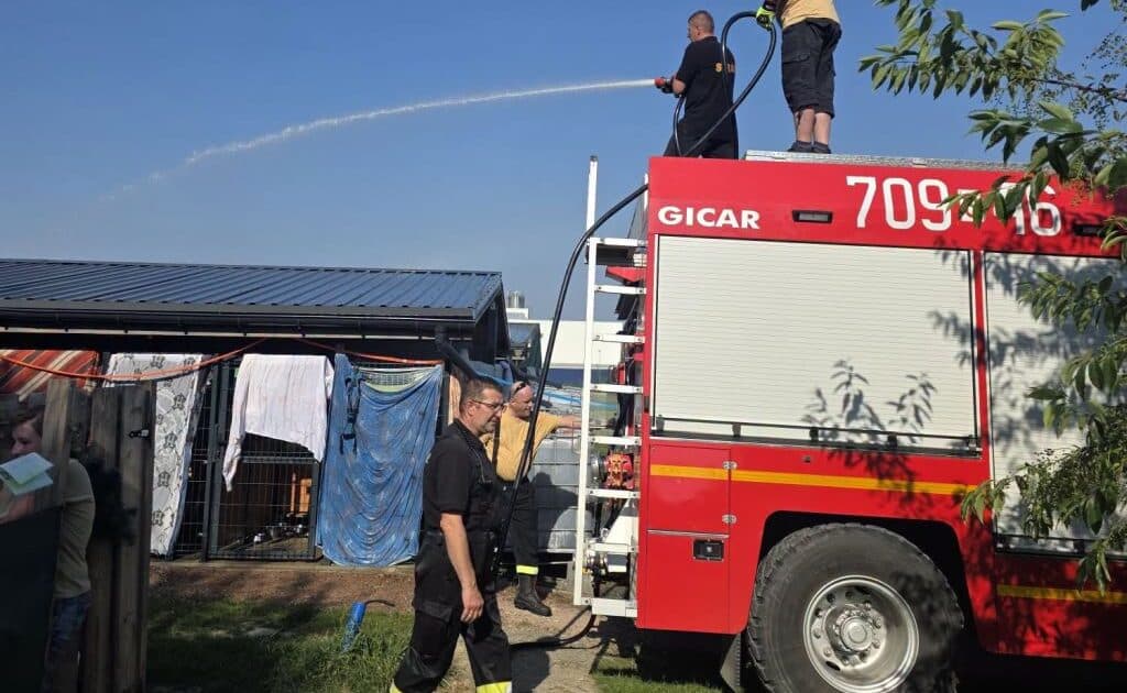 Strażacy ruszyli na pomoc psom. W upalny dzień schłodzili schronisko w Żywcu