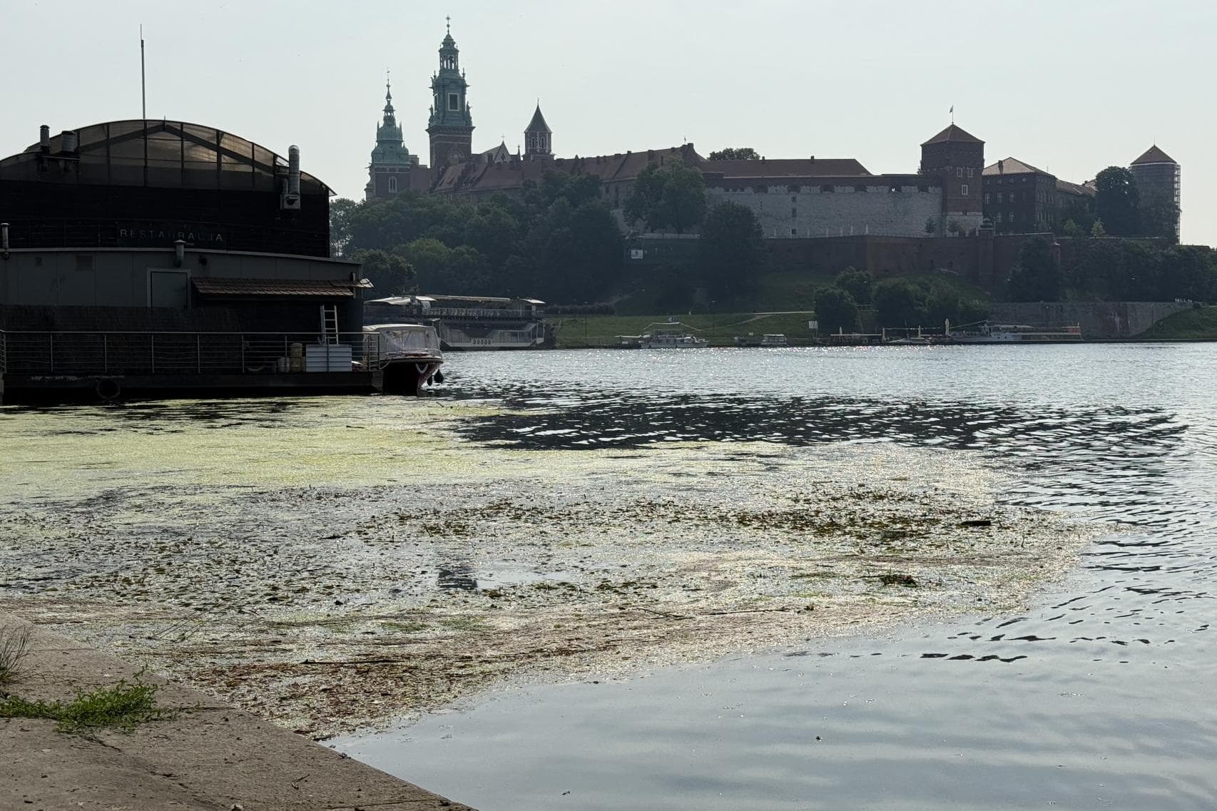 Dziwna zawiesina o przykrym zapachu na Wiśle w Krakowie. Sprawdziliśmy, co to jest