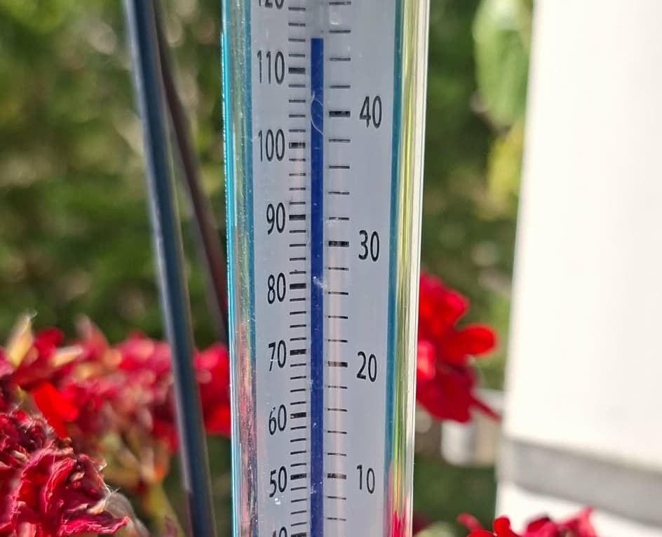 Jest nowy rekord temperatury w Polsce po ponad stu latach. Padł w Toruniu