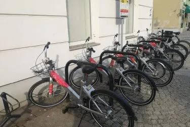 Czy dziś nadal trzeba chronić rysie?