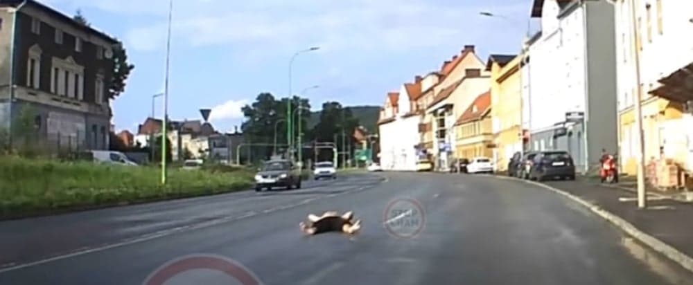 nagranie Położył się na środku ruchliwej ulicy w samych spodenkach i nie zamierzał się ruszyć Łukasz Koch 1
