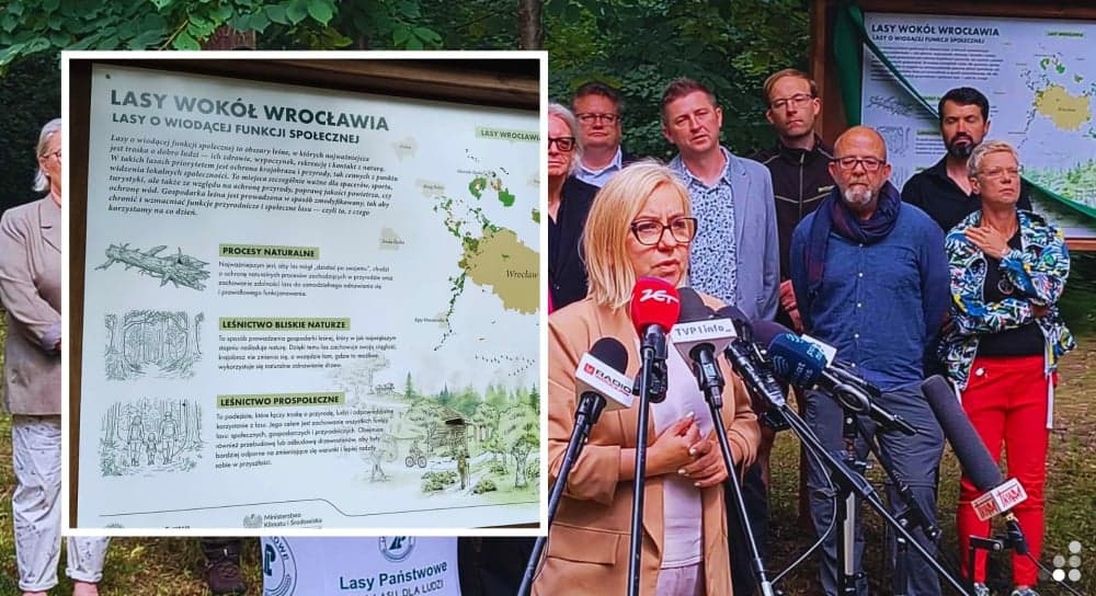 zobacz Ponad 13 tysięcy hektarów na lasy społeczne. Aglomeracja wrocławska jest pierwsza w Polsce Piotr Kaźmierczak