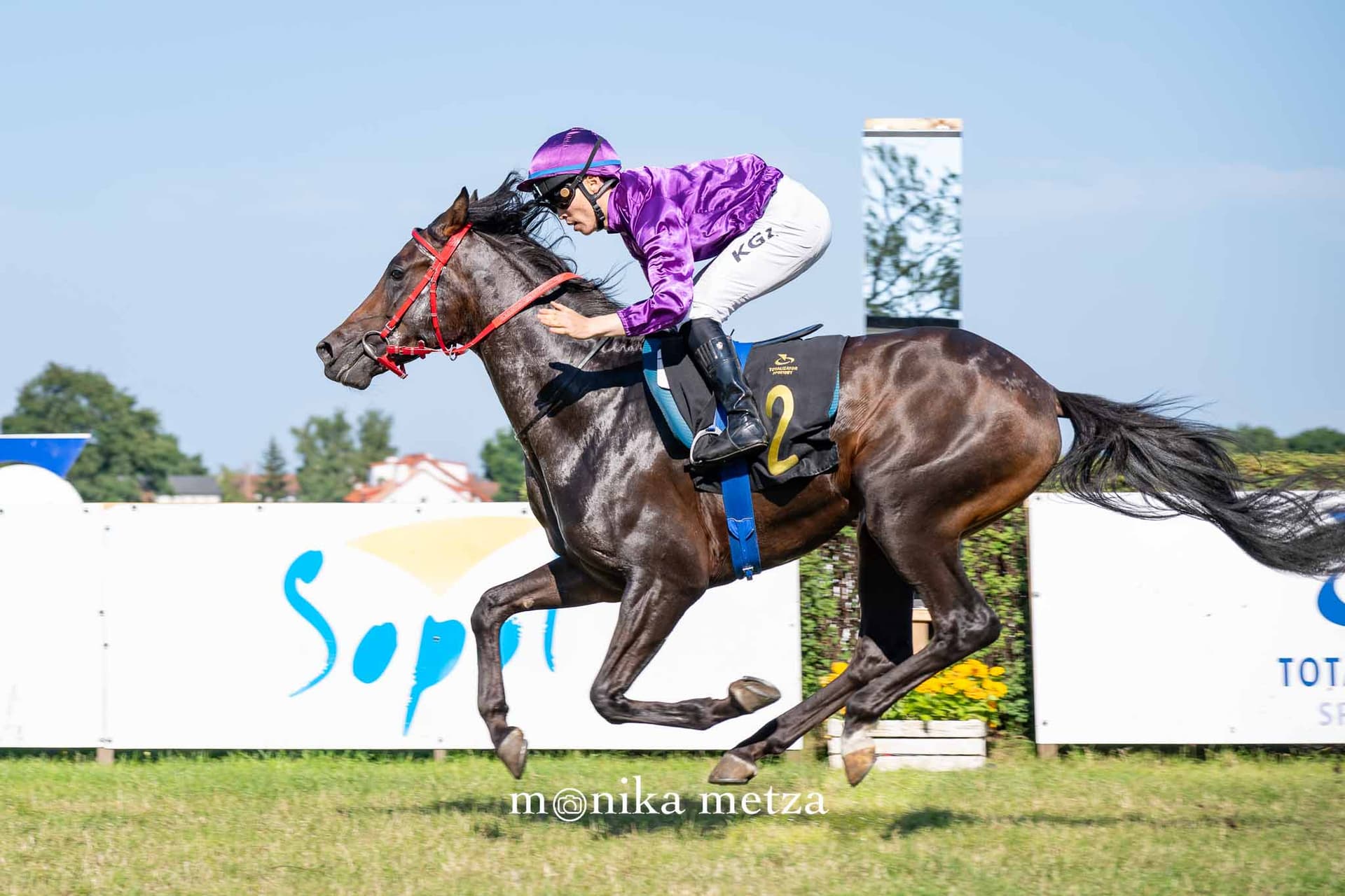 Wyścigi Konne. Cztery dni sportowych emocji i rodzinnych atrakcji na sopockim Hipodromie
