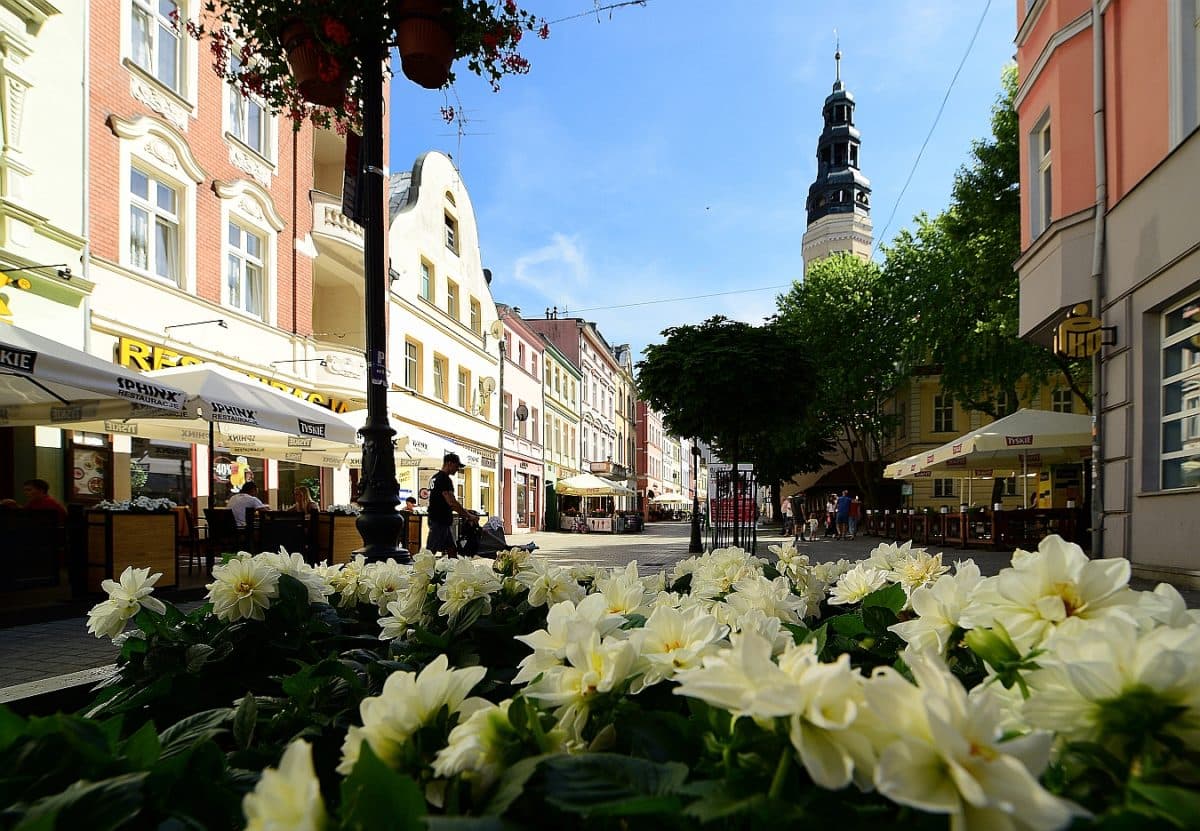Pierwszy tydzień wakacji. Sprawdź, co się będzie działo!