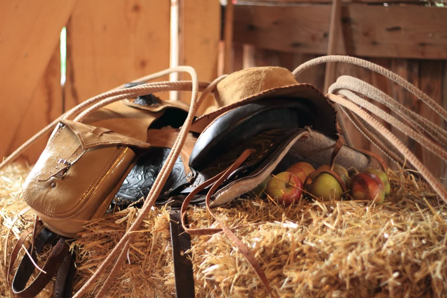 Gmina Żary zaprasza na dzisiejszy Piknik Country w Drożkowie