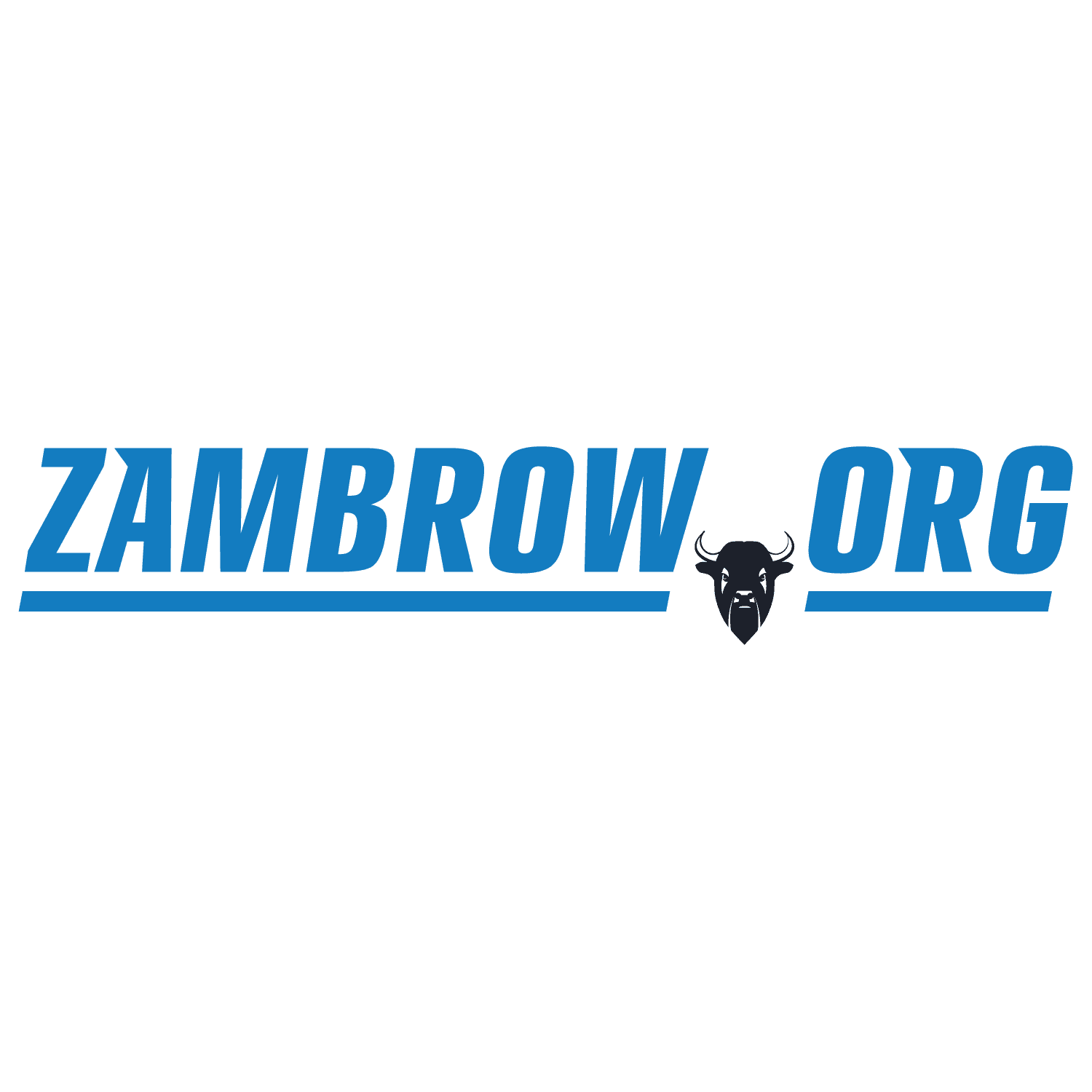 Rada Powiatu Zambrowskiego radni