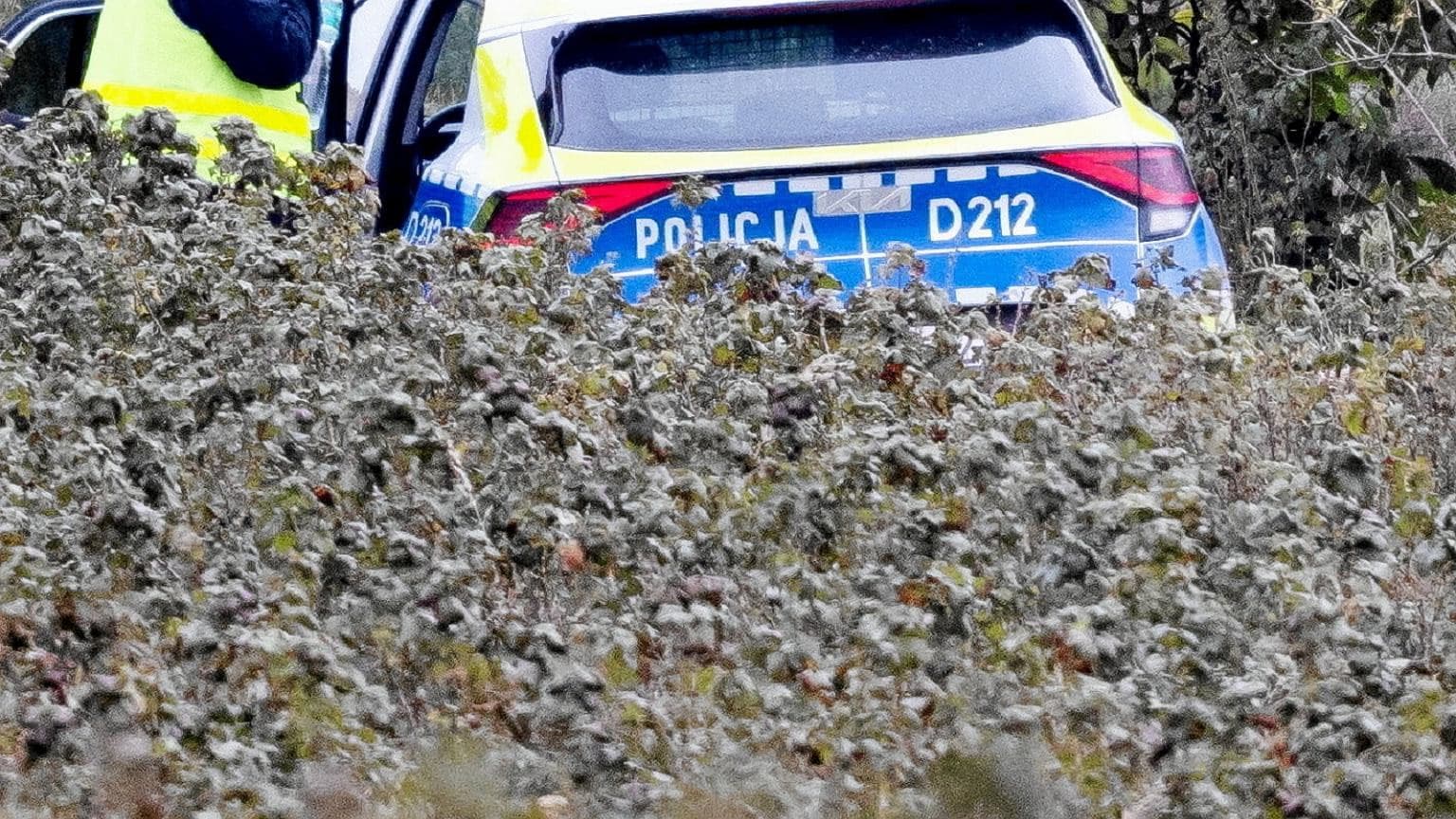 Śmierć 64-letniej kobiety w Borkowie. Policja zatrzymała 65-latka