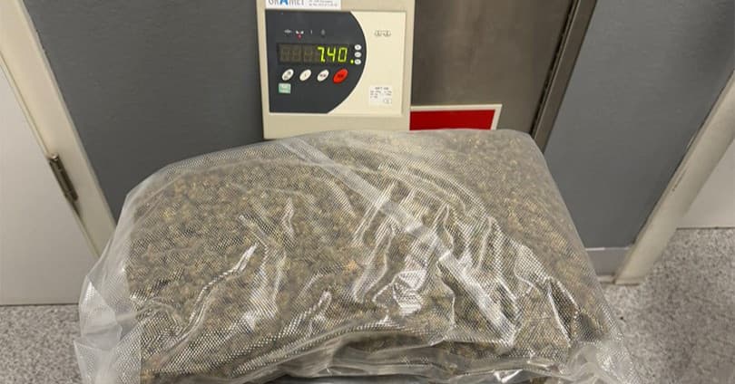 Skarbówka przechwyciła podejrzane paczki. W środku narkotyki warte fortunę